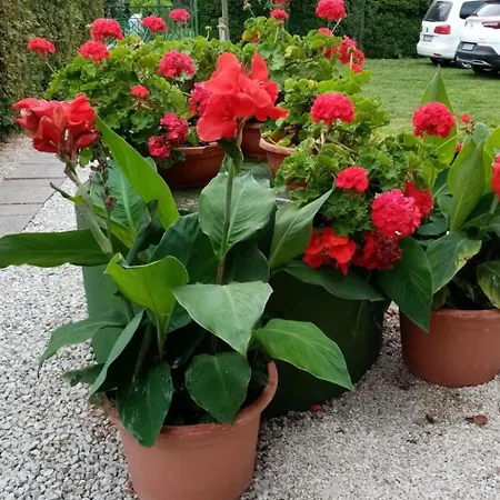 Apartment Feeienwohnung Am By Interhome